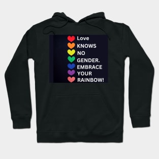 Love knows no gender. Embrace your rainbow! Hoodie